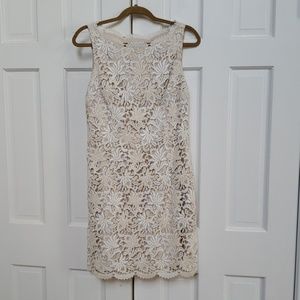 Gorgeous Ann Taylor Lace Dress